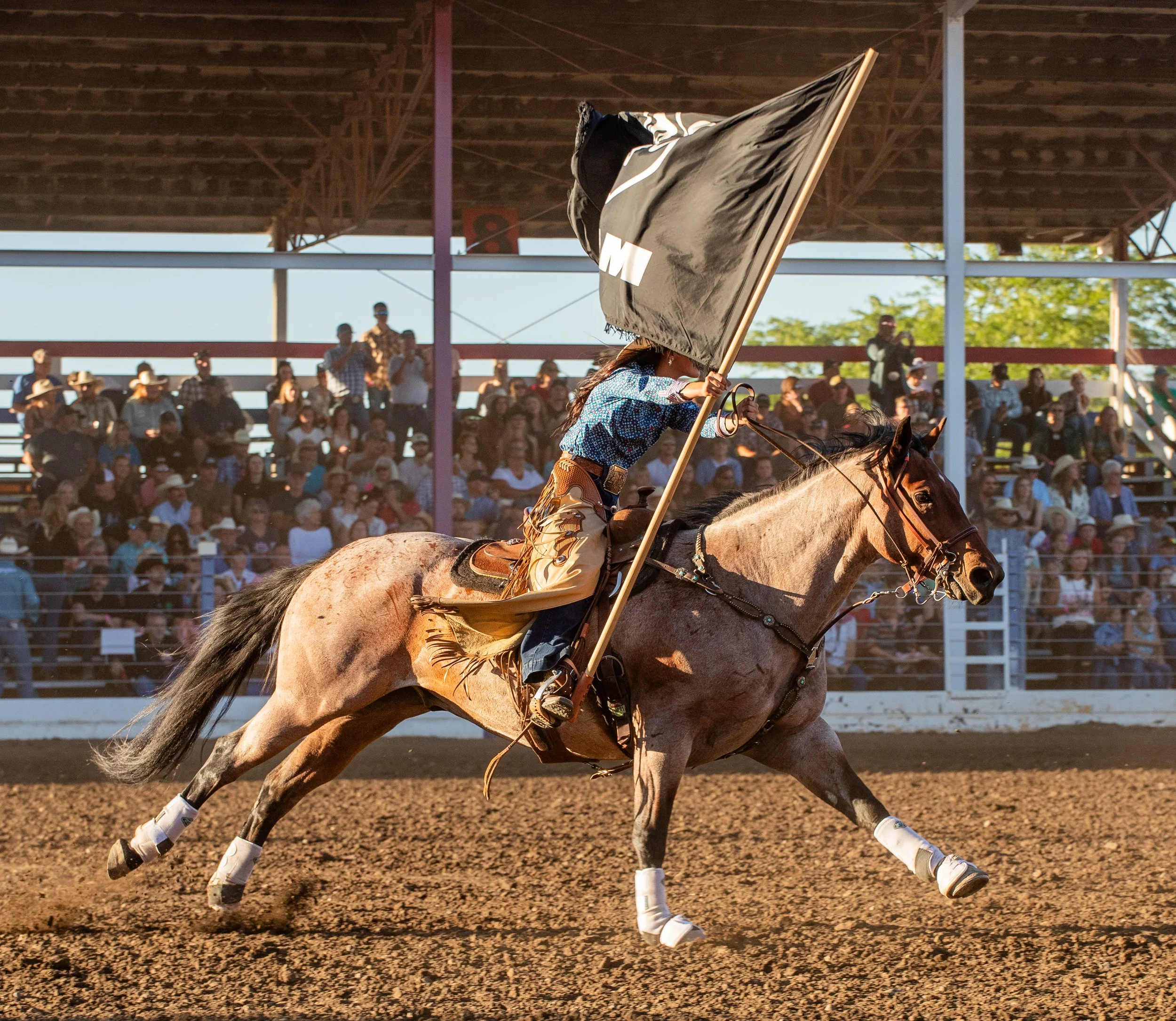 About — Chief Joseph Days Rodeo